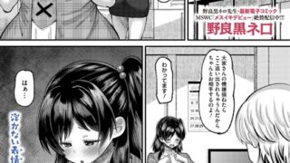s011akamj02436pl