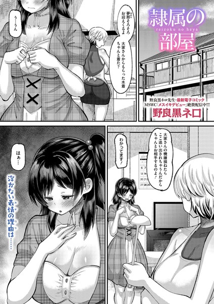 s011akamj02436pl