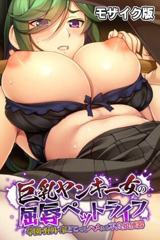 巨乳ヤンキー女の屈辱ペットライフ 〜学園・野外・家どこでもハメれる不良娘便器〜 モザイク版【無料試聴】 15 s645asmmi00082pl