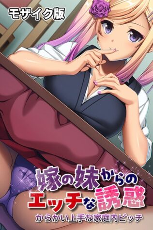嫁の妹からのエッチな誘惑 〜からかい上手な家庭内ビッチ〜 モザイク版【無料試聴】 40 s645asmmi00100pl