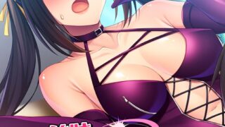 s645asmmi00498pl