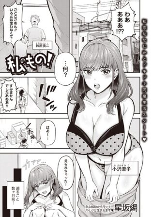 b182asnw02151pl