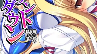 b381carmc04553pl