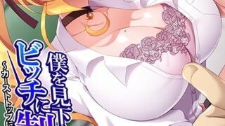 b381carmc04557pl