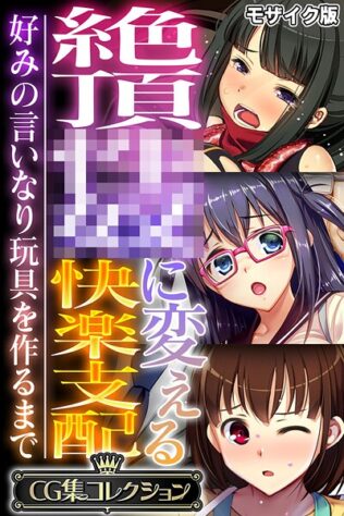 絶頂●●に変える快楽支配 〜好みの言いなり玩具を作るまで〜【CG集コレクション】 モザイク版【無料試聴】 41 k187afrnt11629pl