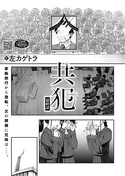 s011akamj02574pl