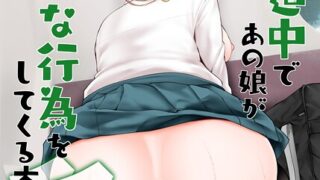 s166aritr00916pl