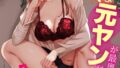 s246asnph02781pl