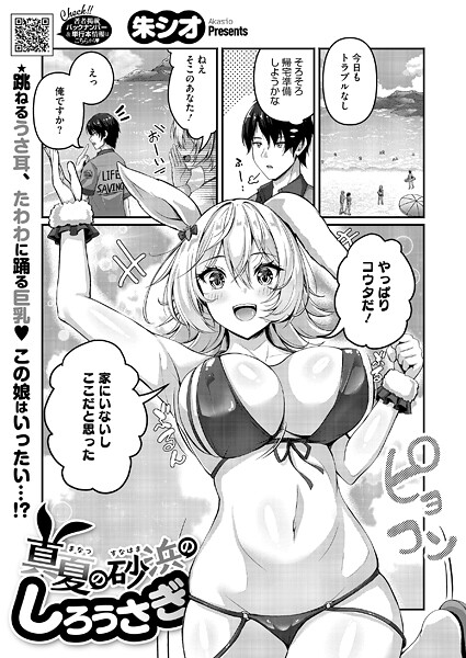 s011akamj02607pl