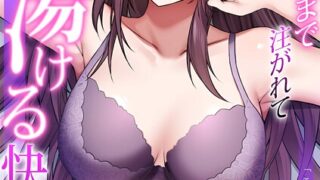 s246asnph03179pl