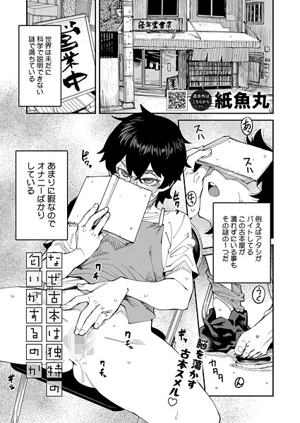 s011akamj02632pl