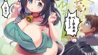 s011akamj02657pl