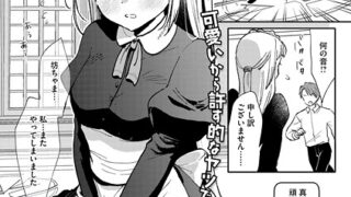 s011akamj02662pl