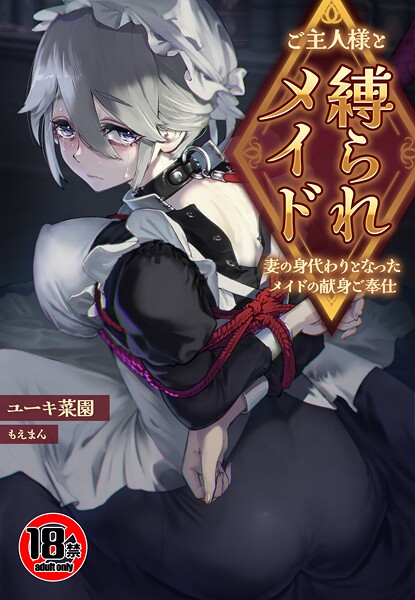 【18禁】ご主人様と縛られメイド〜妻の身代わりとなったメイドの献身ご奉仕〜【無料試聴】 29 s436asnph00733pl