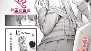 s011akamj02880pl