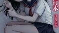 s246asnph03973pl