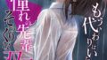 僕のセフレは憧れの先輩そっくりな双子の妹さん(7) モザイク版【無料試聴】 35 s594allud03370pl