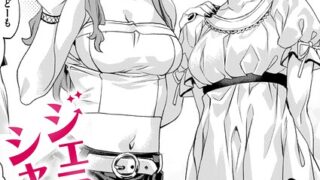 b915awnmg04381pl