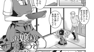 s011akamj02912pl