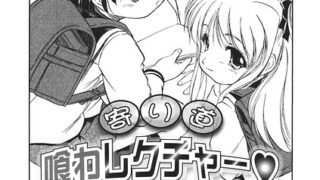 s011akamj02916pl
