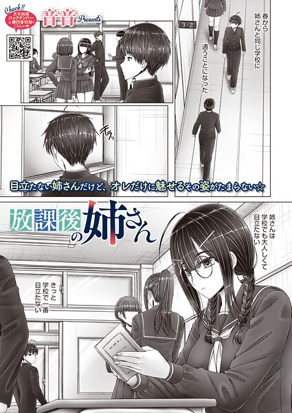 s011akamj02932pl