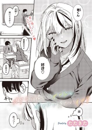 s011akamj02939pl
