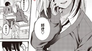 s011akamj02939pl