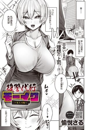 s011akamj02941pl