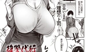 s011akamj02941pl