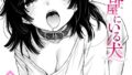 b915awnmg04409pl