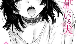 b915awnmg04409pl