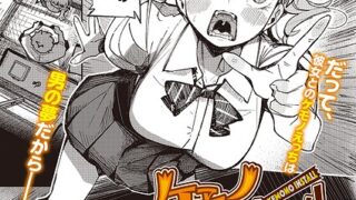 s011akamj02957pl