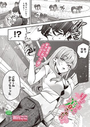 s011akamj02962pl