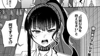 s832acaue00204pl